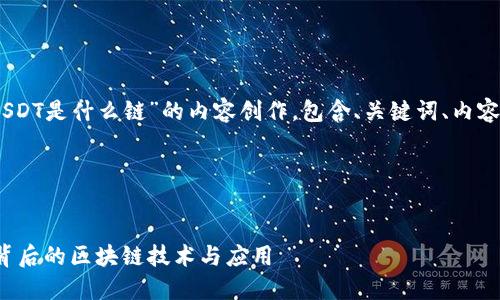 下面是围绕“tokenim USDT是什么链”的内容创作，包含、关键词、内容大纲及问题的详细介绍。

完整示例：


Tokenim USDT：探索它背后的区块链技术与应用