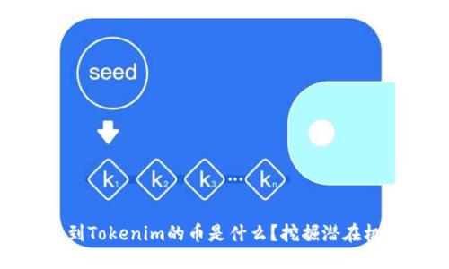 最近空投到Tokenim的币是什么？挖掘潜在机会与风险