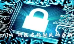 Title: Tokenim 钱包名称缺失的原因与解决方案