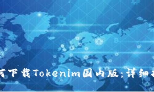 如何下载Tokenim国内版：详细指南