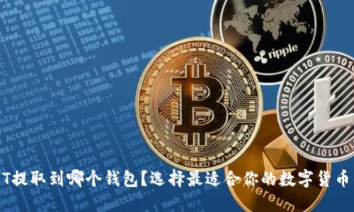 USDT提取到哪个钱包？选择最适合你的数字货币钱包