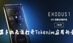 解决苹果手机无法打开T
