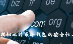 新手指南：揭秘比特币冷钱包的安全性与使用技