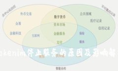 Tokenim停止服务的原因及影
