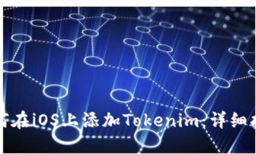 如何在iOS上添加Tokenim：详细指南