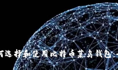 新手如何选择和使用比特币菜鸟钱包：全面指南