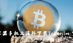 如何在苹果手机上海外下