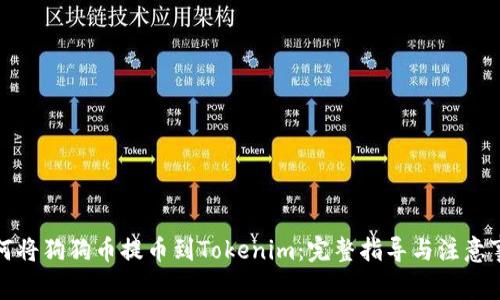 如何将狗狗币提币到Tokenim：完整指导与注意事项