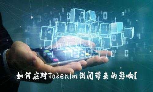 如何应对Tokenim倒闭带来的影响？