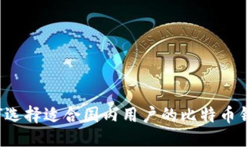 如何选择适合国内用户的比特币钱包？