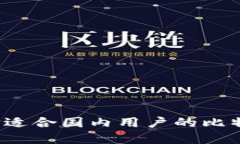如何选择适合国内用户的