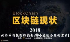 比特币钱包选择指南：哪