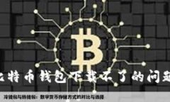 如何解决比特币钱包下载不了的问题：全面指南