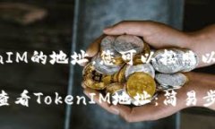 要查看TokenIM的地址，您可以按照以下步骤进行：
