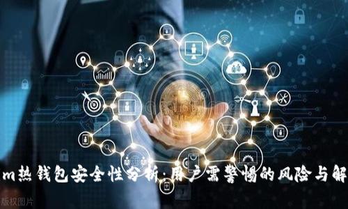 Tokenim热钱包安全性分析：用户需警惕的风险与解决方案