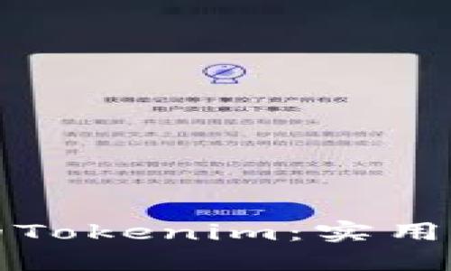 如何找回丢失的Tokenim：实用指南与解决方案