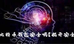 最早的比特币钱包安全吗