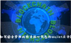 如何安全管理比特币核心钱包的wallet文件？
